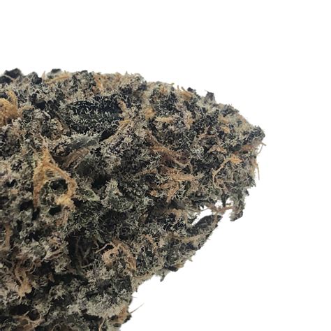 The Black Out strain is an 8020 indica-dominant hybrid cross between Face Off OG and The Black. . Blackout bobby strain